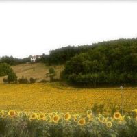 House for sale in France - 10568790_10202497756671444_2745391155428837923_n.jpg House for sale in France - 10568790_10202497756671444_2745391155428837923_n.jpg