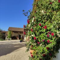 Maison à vendre en France - Hausansicht.jpg
