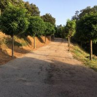 House for sale in France - s.jpg