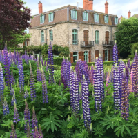 House for sale in France - IMG_1799.jpg