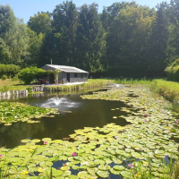 Haus zu verkaufen in Frankreich - LAC CHALET 3.jpg Haus zu verkaufen in Frankreich - LAC CHALET 3.jpg